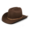 Stetson - Western Woolfelt Crown Hat - Brown