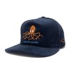 The Ampal Creative - Inouisitive Nature Strapback Cap - Navy