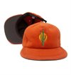 The Ampal Creative - Sunset Cactus Fleece Strapback - Rust