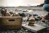 The-Great-Outdoors---120-Recipes-for-Adventure-Cooking13