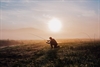 The Fly Fisher - The Essence and Essentials of Fly Fishing