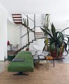 Wonder-Plants-Your-Urban-Jungle-Interior