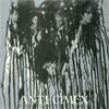 Anti Cimex - Anti Cimex (Grey Vinyl) RSD2018 - LP